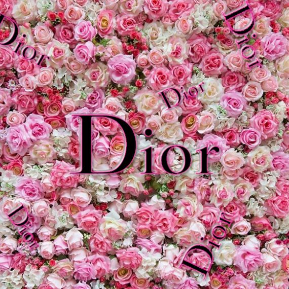 Dior Floral Print IWB Holster – Blush & Brass Collection